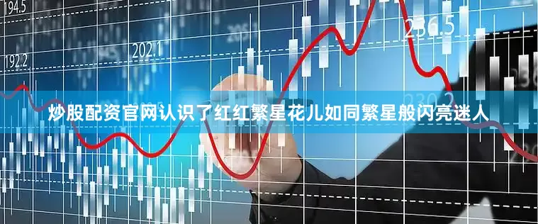 炒股配资官网认识了红红繁星花儿如同繁星般闪亮迷人