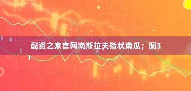 配资之家官网南斯拉夫指状南瓜；图3